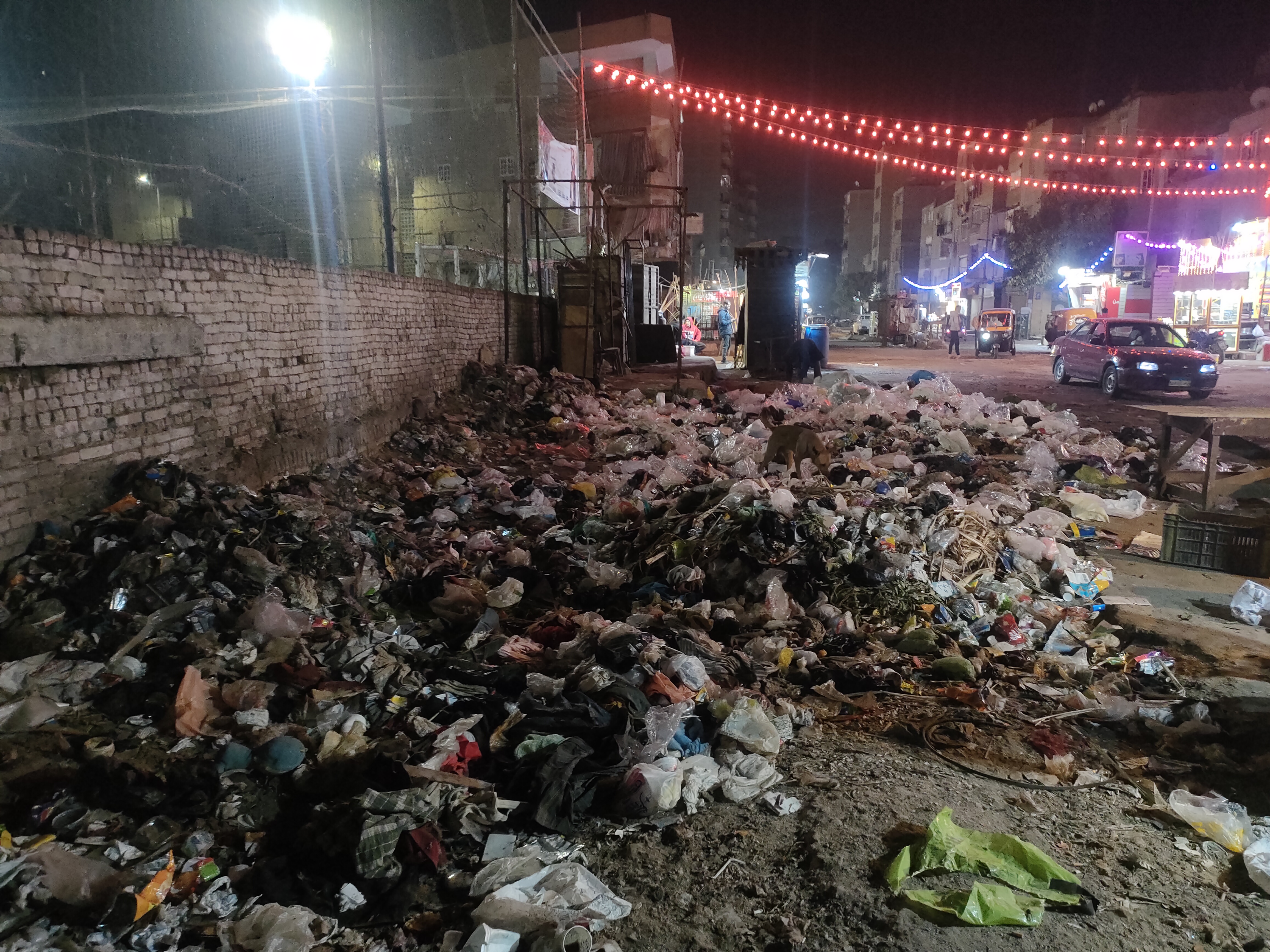 محافظ القليوبية