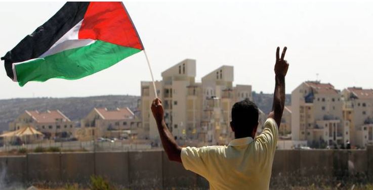 مصر ترحب بتبني الأمم المتحدة قرارات تؤكد حقوق الشعب الفلسطيني