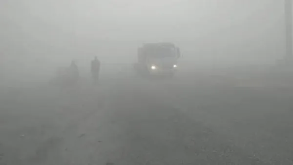 شتاء متقلب حتى نهاية ديسمبر.. برودة قاسية ليلا وشبورة كثيفة صباحا