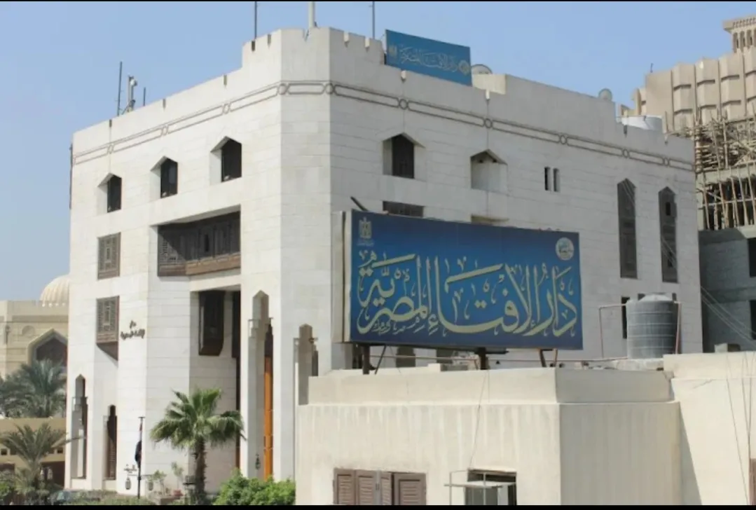 الإفتاء تبين حكم قتل الكلاب والقطط الضالة