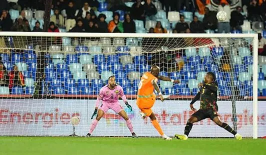 الأسود والأفيال يتعادلان بهدف لمثله في أقوى مباريات البطولة الإفريقية