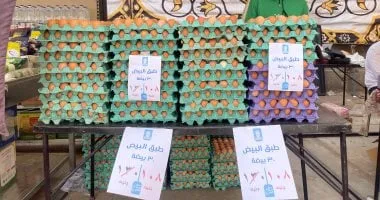 108جنيهات لكرتونة البيض.. سوق اليوم الواحد يخفف أعباء المعيشة بـ فيصل