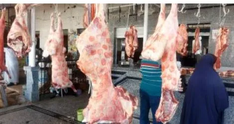 وزارة التموين تعلن عن تخفيضات كبيرة على أسعار اللحوم والدواجن بمنافذها