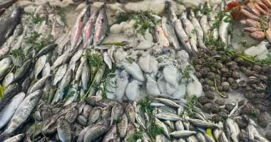 التموين تطرح أسماك وقشريات بأسعار مخفضة قبل أعياد الميلاد والكريسماس