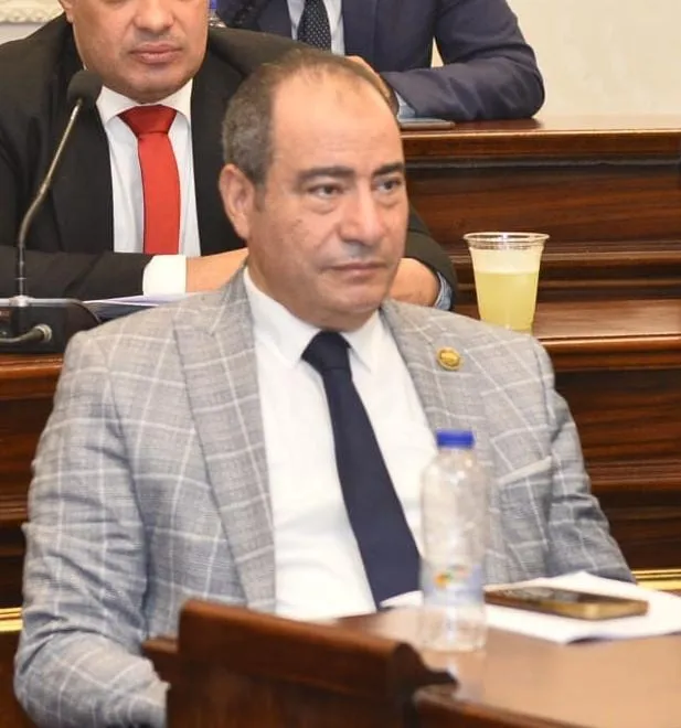 مجاهد نصار: دبلوماسية السيسي حصن الأمن القومي في 2025