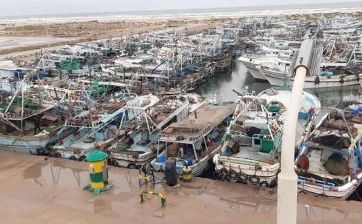 إغلاق ميناء برج البرلس أمام الصيد بسبب سوء الأحوال الجوية