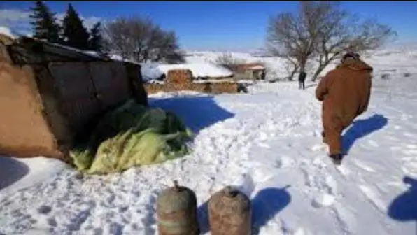 خلال ساعات.. الصقيع يجتاح العالم العربى