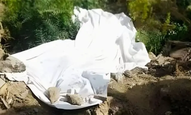 جهود أمنية مكثفة لكشف غموض العثور على جثة وسط الزراعات بطنطا