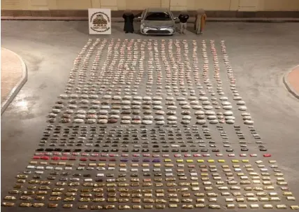 ضبط 1.5 طن مخدرات بالإسماعيلية.. الأمن يوجه ضربة استباقية لتشكيل عصابي