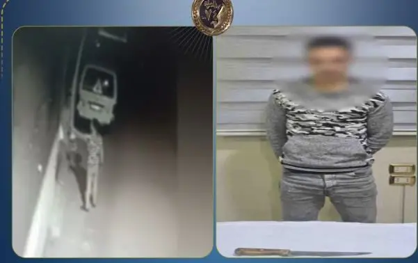 القبض على مزارع اعتدى على جارِه بسلاح أبيض بـ المنوفية