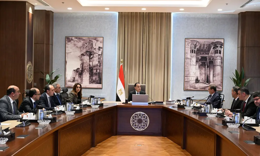 الحكومة تتوسع في مراكز إيواء الكلاب الضالة خارج الكتل السكنية