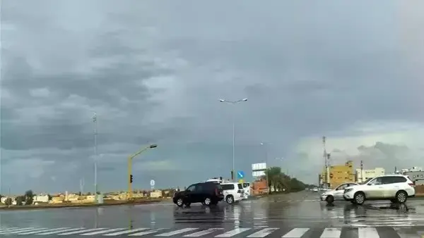 الأرصاد تحذر من طقس اليوم : شبورة كثيفة وأمطار ونشاط للرياح