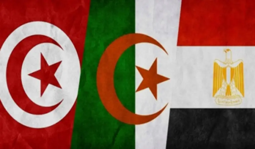 تحرك مصري جديد في تونس لدعم استقرار ليبيا