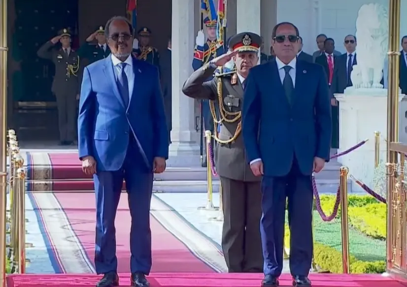 مصر والصومال.. تنسيق مشترك لتأمين الملاحة في البحر الأحمر وتعزيز استقرار القرن الأفريقي