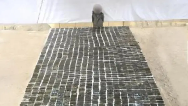 الداخلية تضرب بقوة: ضبط نصف طن مخدرات و145 قطعة سلاح بـ 72 مليون جنيه