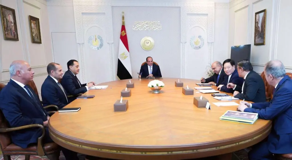 السيسي يبحث مع رئيس GCL الصينية توطين صناعة الطاقة المتجددة في مصر