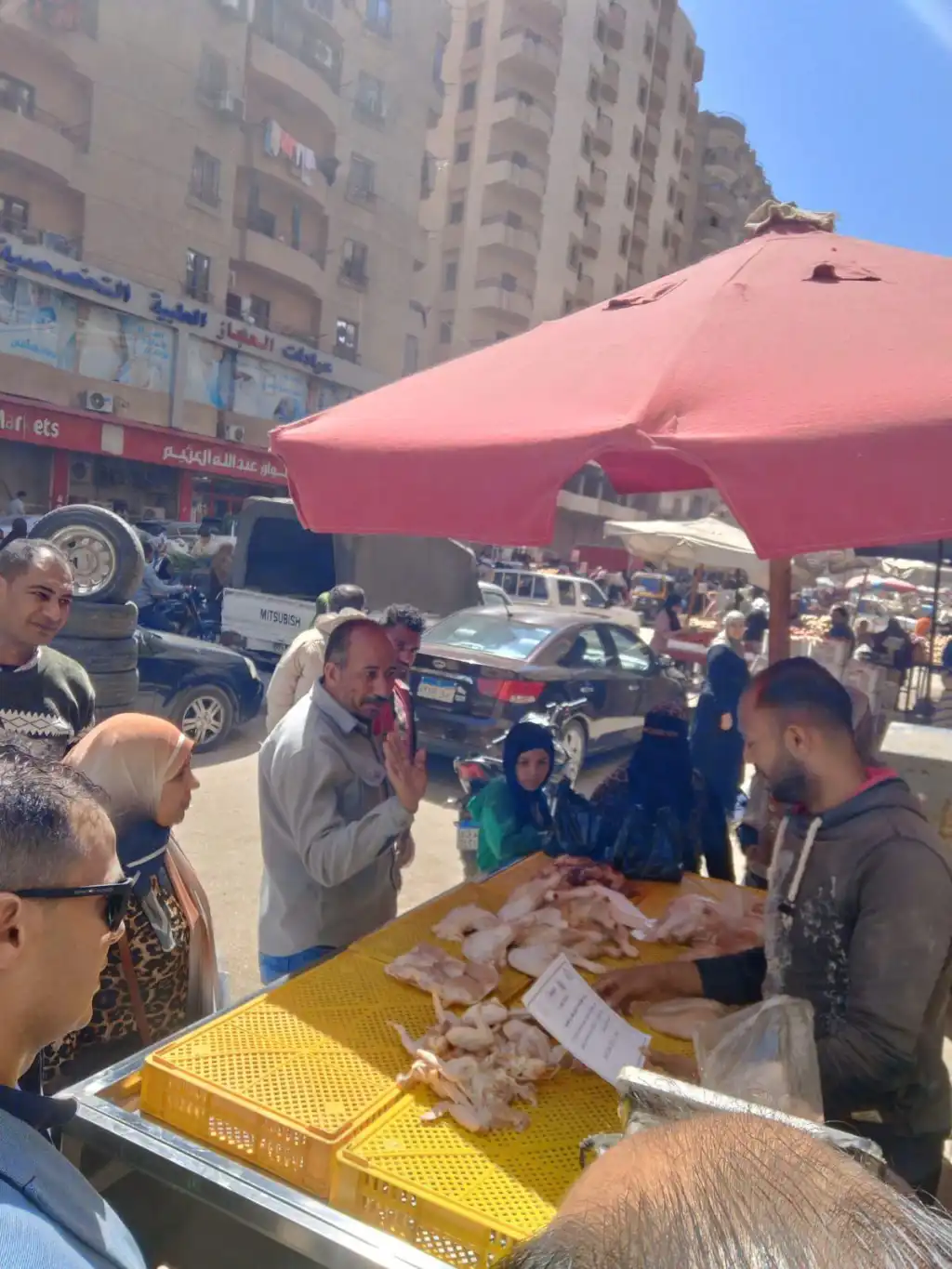 حملة توعية بالجيزة للحد من مخاطر مخلفات الدواجن والأسماك