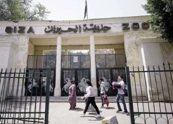 هل تفتح حديقة الحيوان أبوابها في شم النسيم 2026؟.. تفاصيل مشروع التطوير وموعد التشغيل