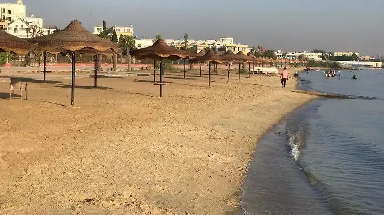 محافظة الإسماعيلية تعلن عن وظائف شاغرة لـ «غواصين وعمال إنقاذ» بالشواطئ